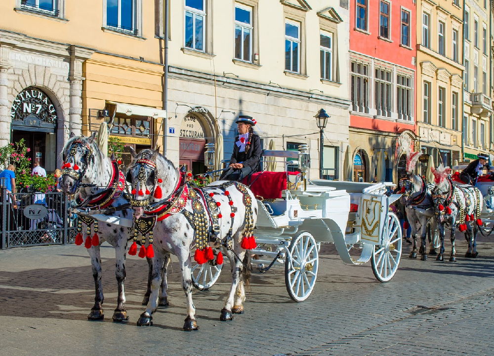 Dziedzictwo kulturowe Krakowa - najważniejsze symbole