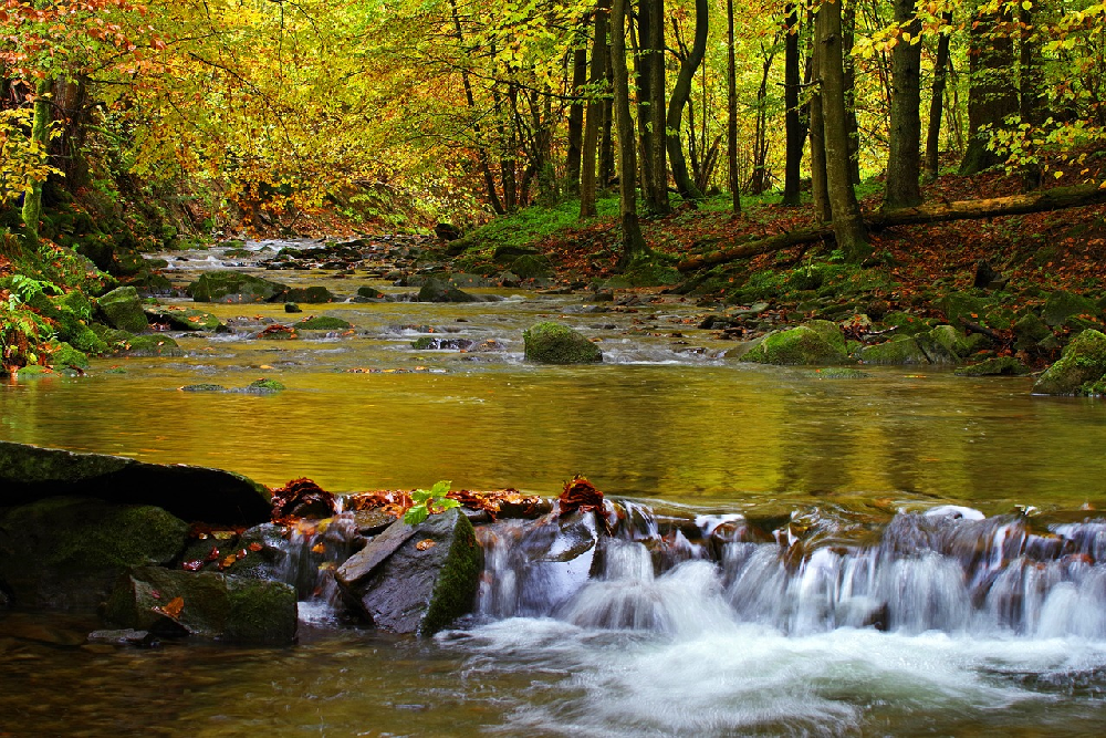 Dlaczego warto odwiedzić Bieszczady jesienią?